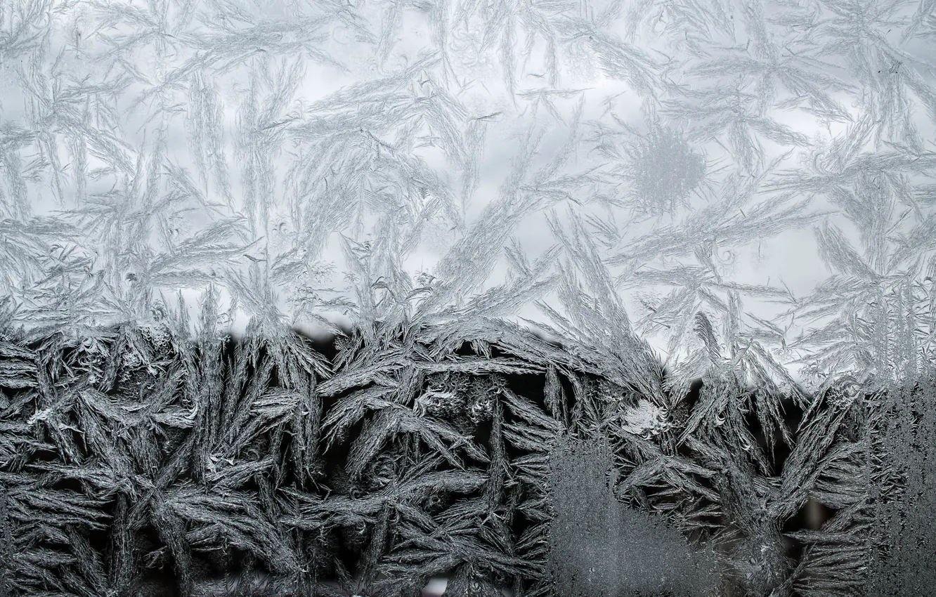 Photo wallpaper cold, winter, glass, patterns