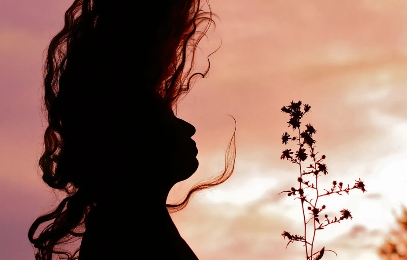 Photo wallpaper girl, sunset, flowers, mood