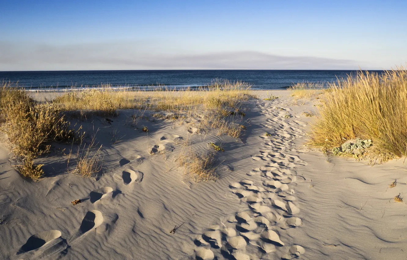 Photo wallpaper sea, summer, landscape, dunes