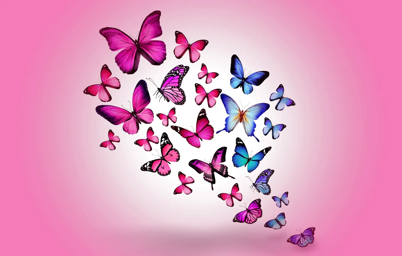 Photo wallpaper butterfly, colorful, blue, pink, butterflies, design by Marika