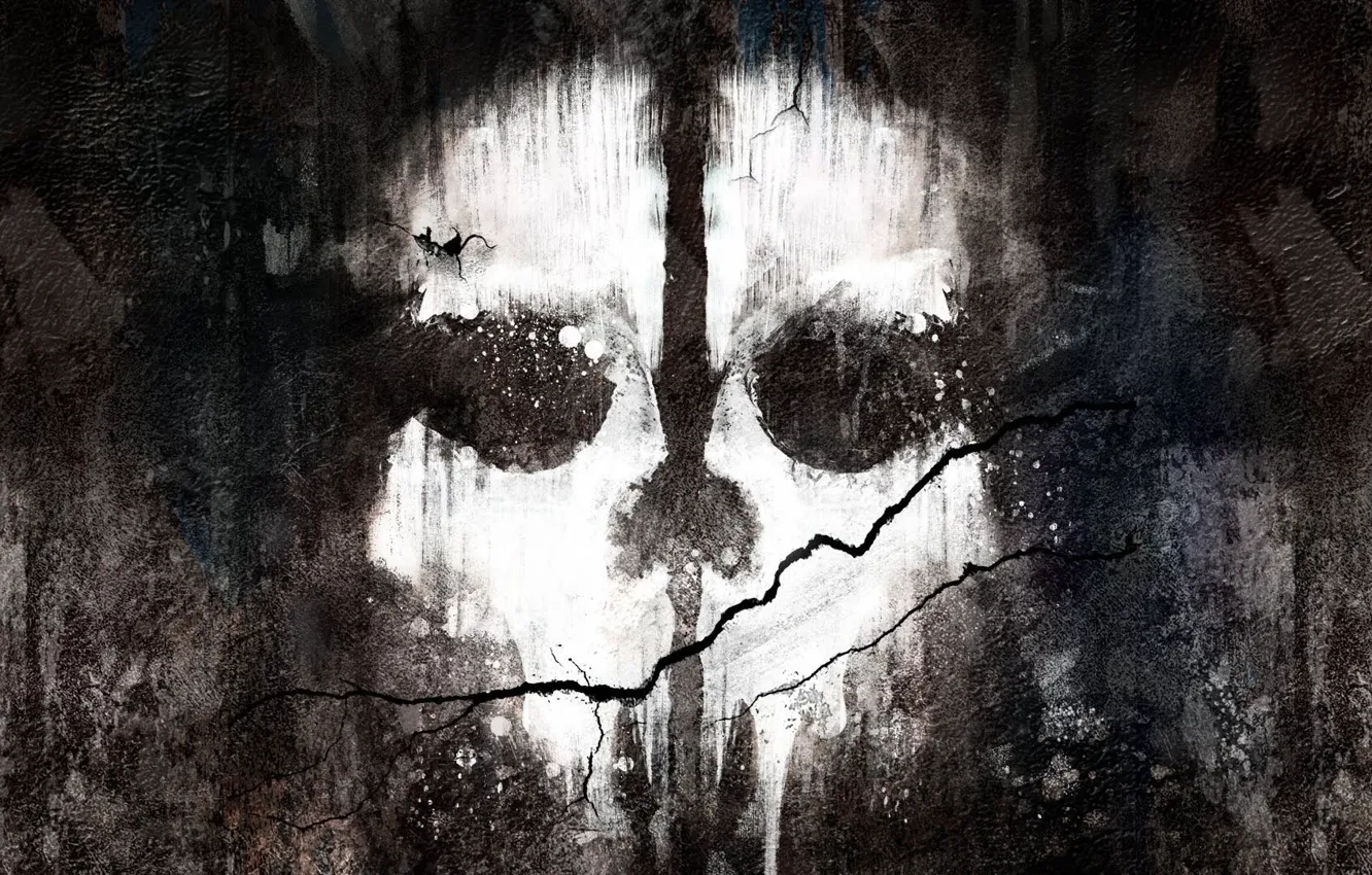 Photo wallpaper wall, paint, skull, crack, Activision, Infinity Ward, Call of Duty: Ghosts