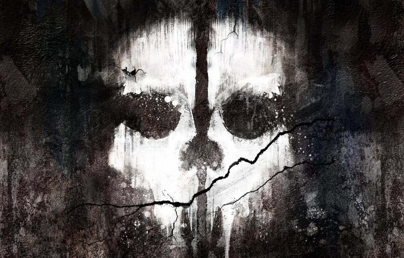 Photo wallpaper cracked, wall, paint, skull, Activision, Infinity Ward, Call of Duty: Ghosts
