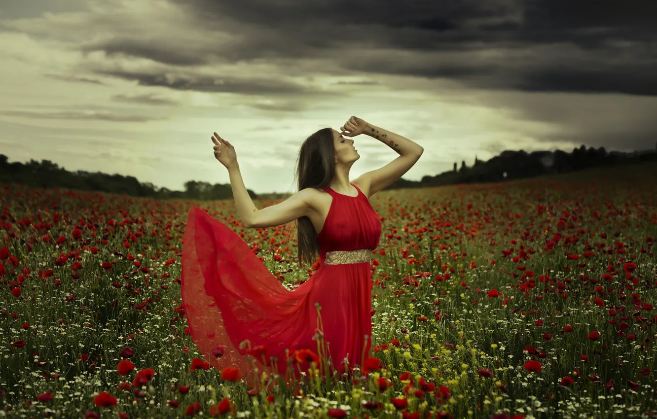 Photo wallpaper field, summer, girl, flowers, nature, pose, Maki, the evening