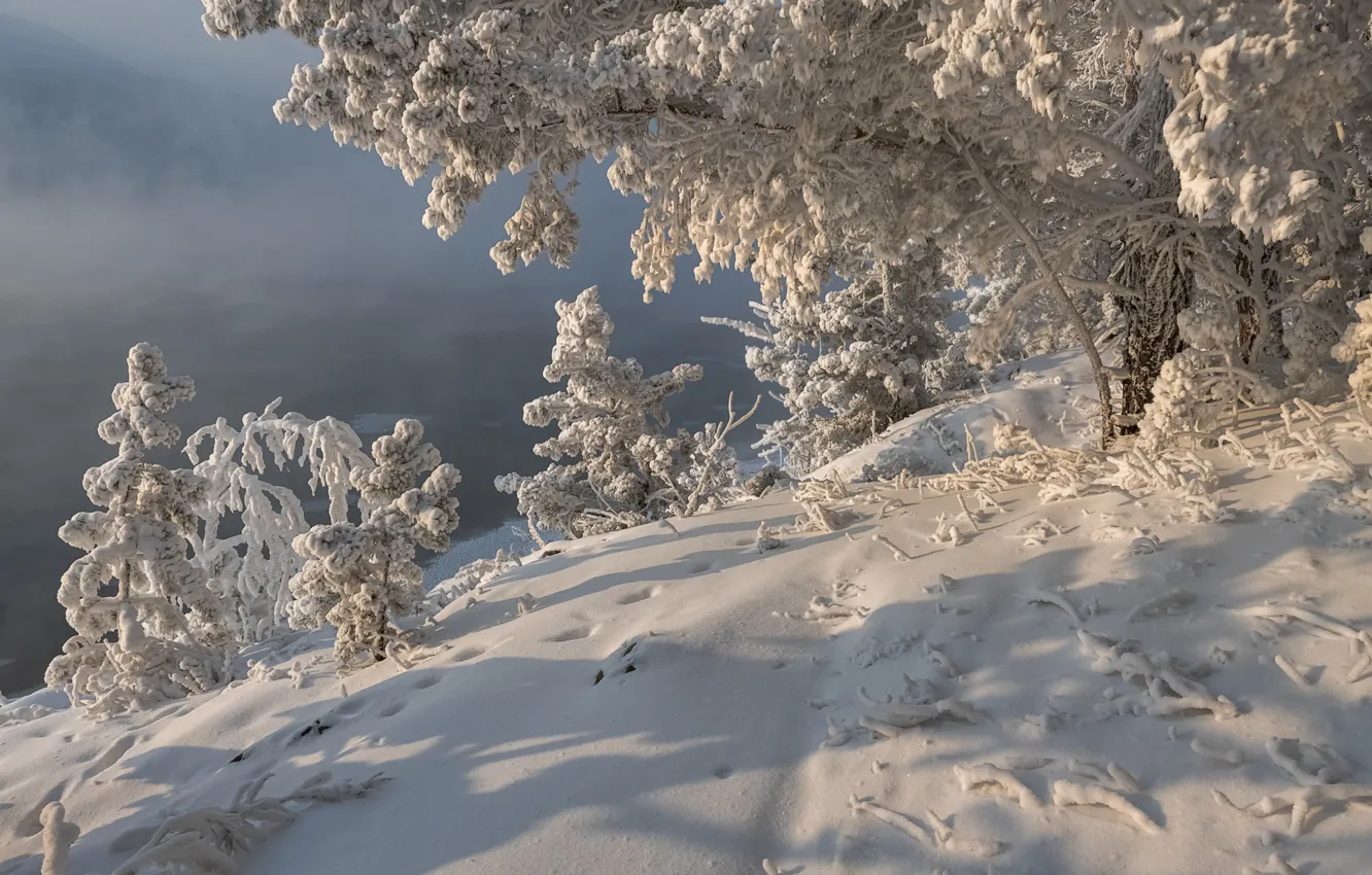 Photo wallpaper winter, snow, trees, nature, frost, Siberia, Marina Fomina