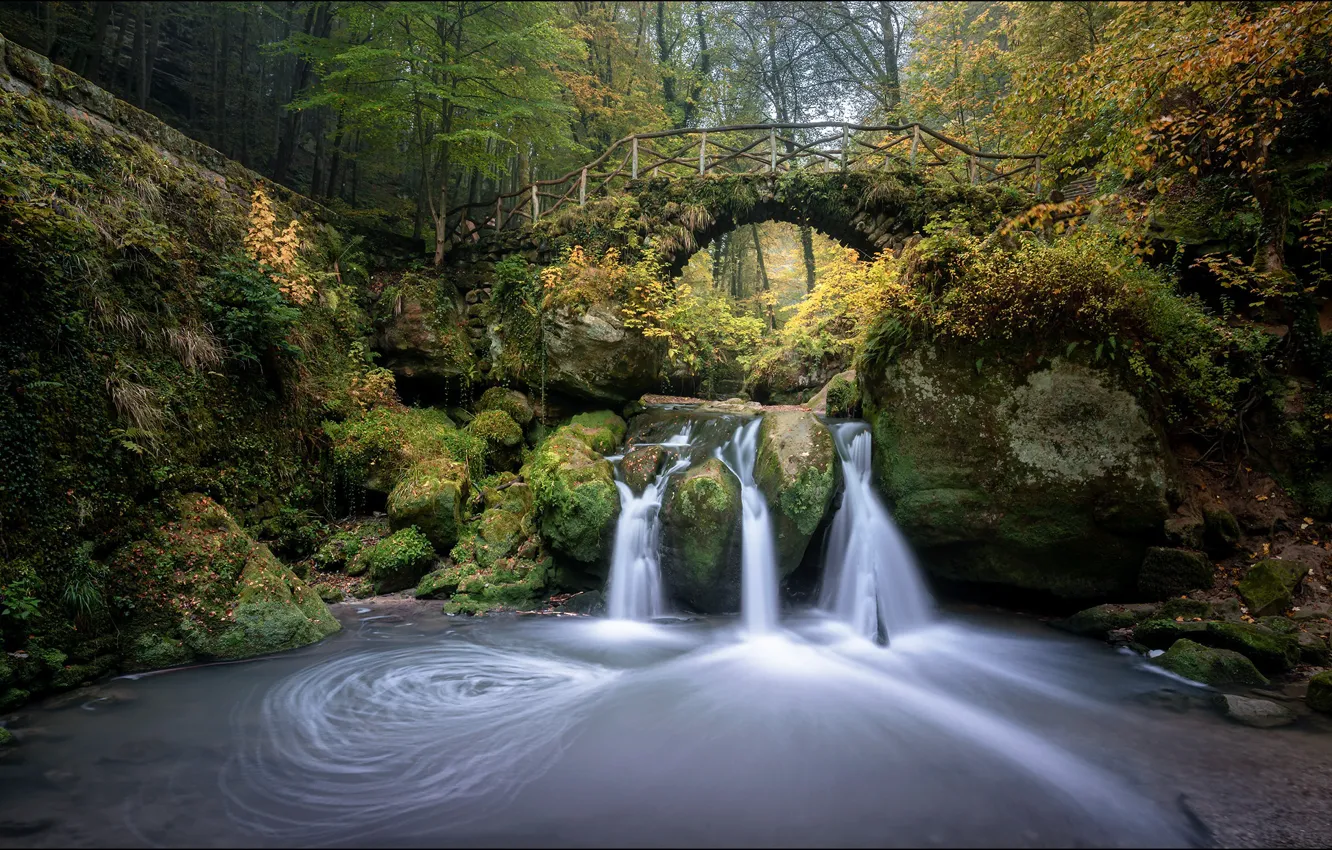 Photo wallpaper waterfall, Mullerthal, bridge, trees, George Sharp, autumn