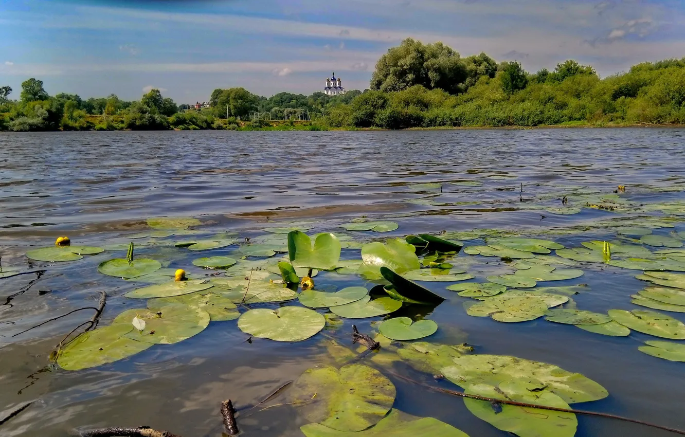 Photo wallpaper the sky, water, landscape, nature, river, view, Lily, beautiful