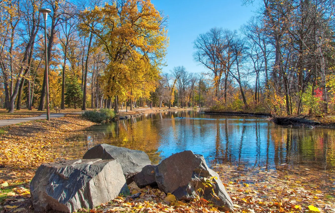 Photo wallpaper autumn, leaves, trees, pond, Park, stones, track, bench