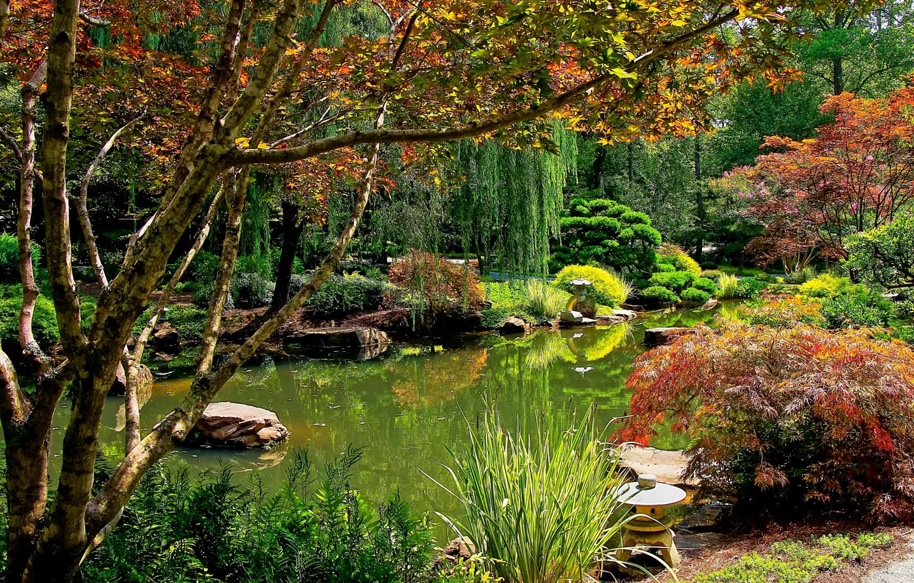 Photo wallpaper trees, branches, pond, Park, stones, USA, the bushes, Ball Ground Gibbs Gardens