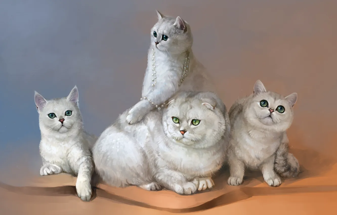 Photo wallpaper cats, figure, by SalamanDra-S