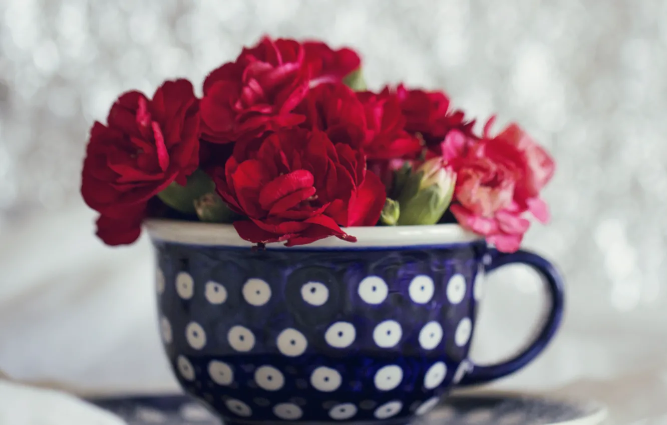 Photo wallpaper Cup, Clove, Carnations