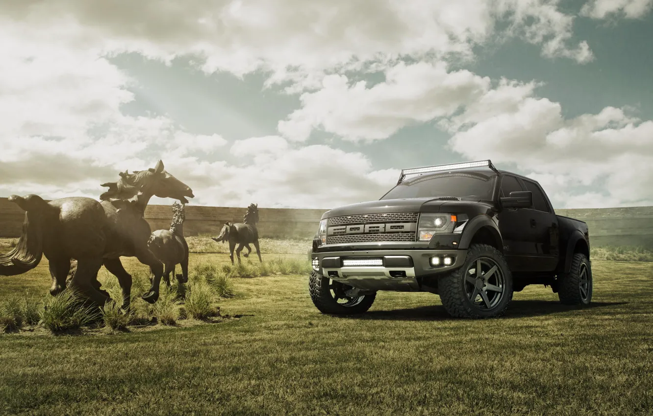 Photo wallpaper field, the sky, black, Ford, horse, black, Ford, Raptor