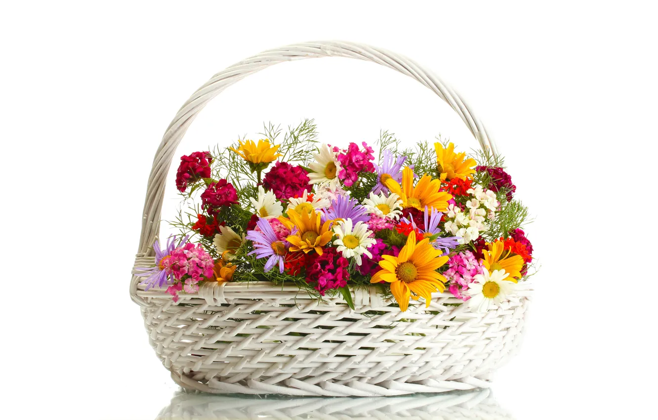 Photo wallpaper flowers, basket, chamomile, white background, colorful, clove