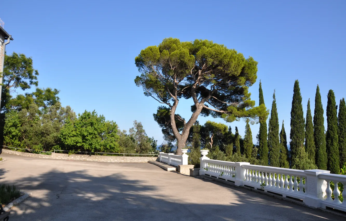 Photo wallpaper Crimea, Yusupov Park, Koreiz-1