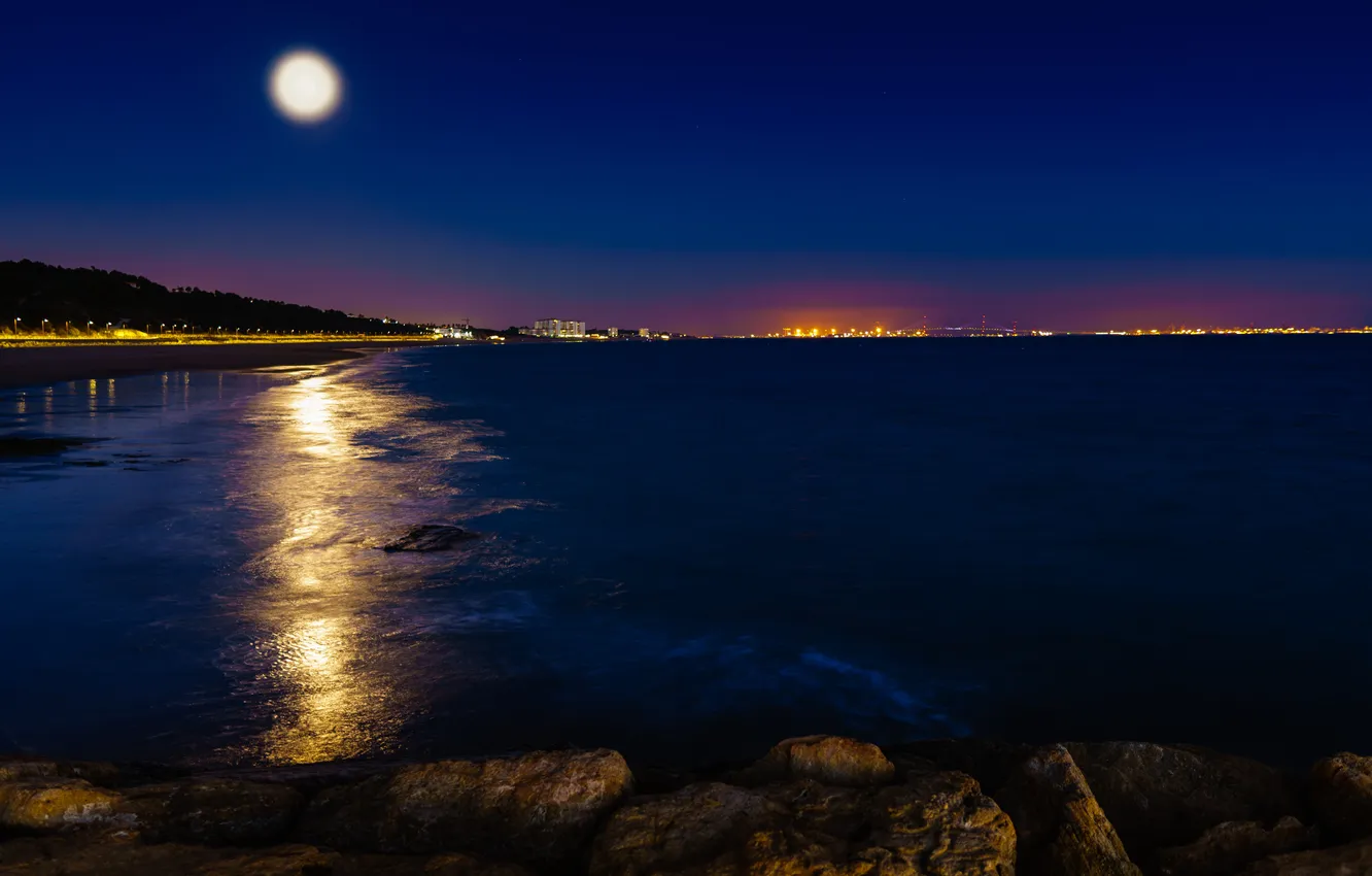 Photo wallpaper bridge, night, beautiful, Europe, Spain, urban, cityscape, steel
