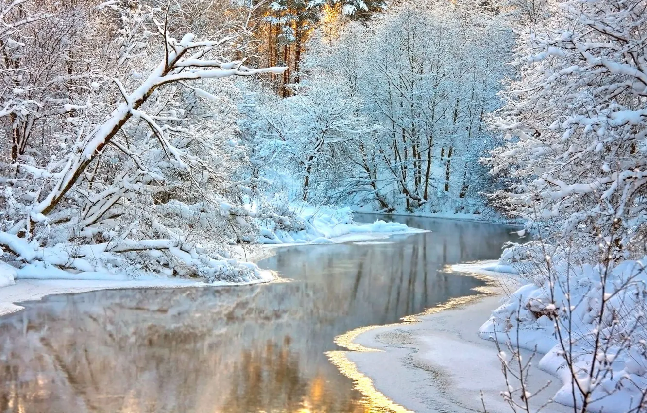 Photo wallpaper winter, forest, landscape, nature, river