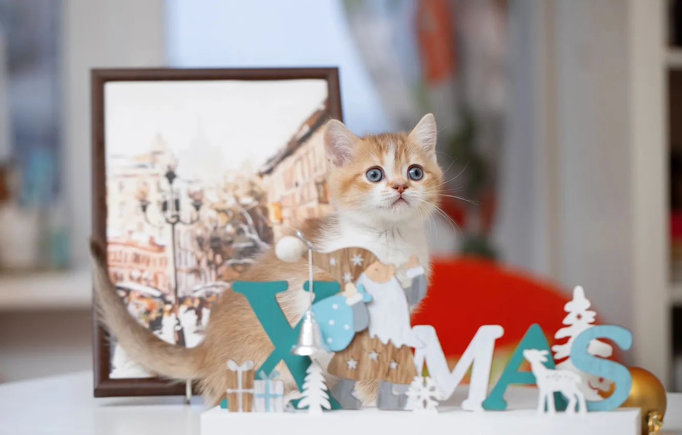 Photo wallpaper baby, red, Christmas, kitty, Svetlana Pisareva