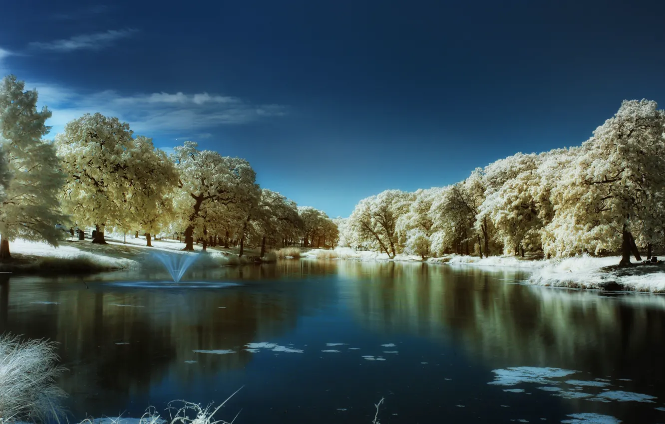 Photo wallpaper winter, blue, lake, tree, blue, winter, lake, tree