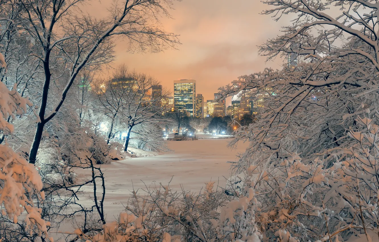 Photo wallpaper winter, snow, trees, city, Park, Frozen, landscape, New York