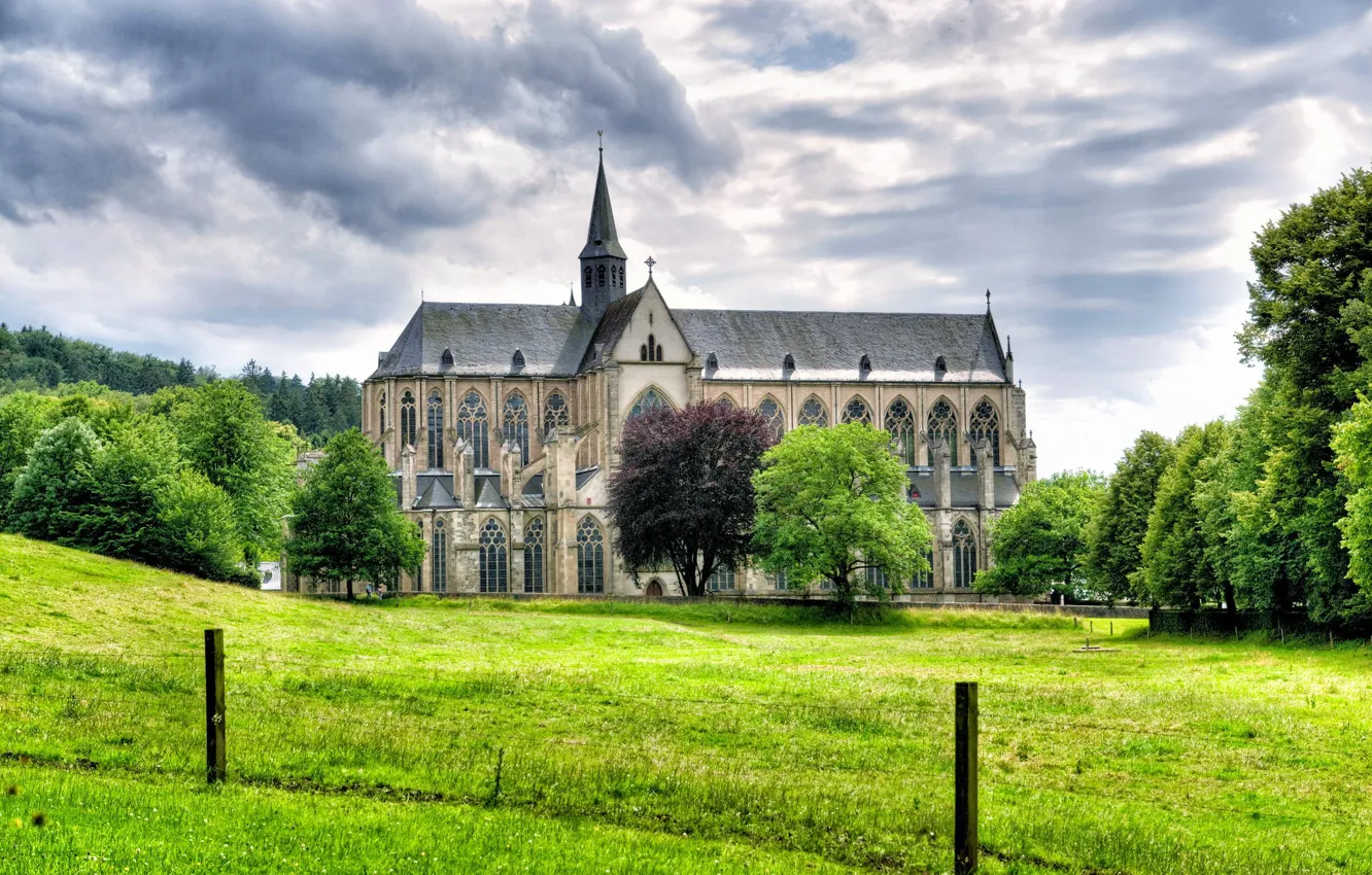 Photo wallpaper grass, trees, landscape, Germany, Cathedral, Germany, Altenberg, Altenberg