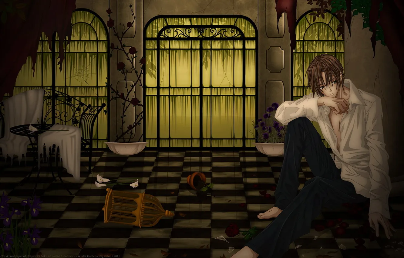 Photo wallpaper flowers, table, cell, anime, window, guy, BETRAYAL KNOWS MY NAME