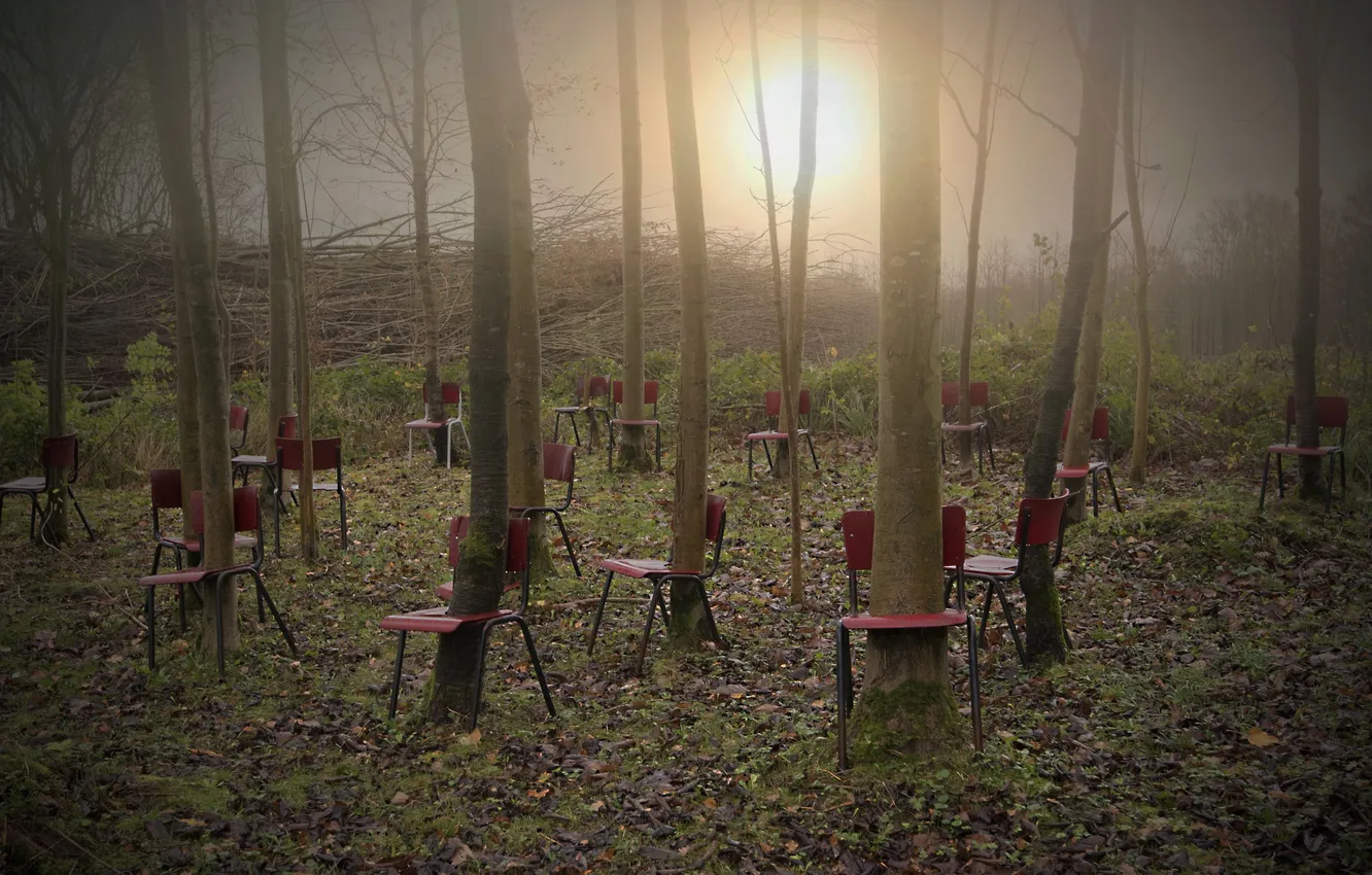 Photo wallpaper light, trees, chairs