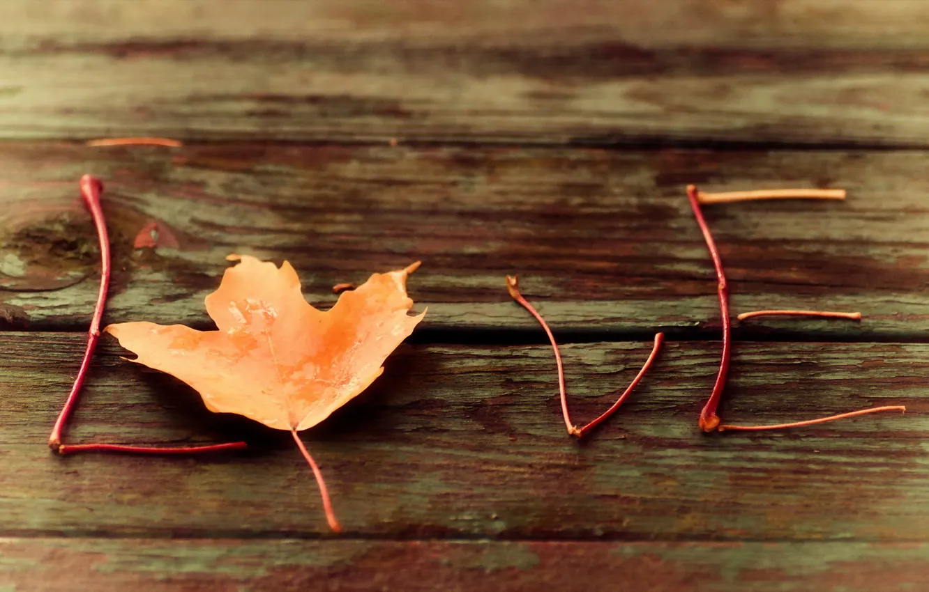 Photo wallpaper leaves, macro, words