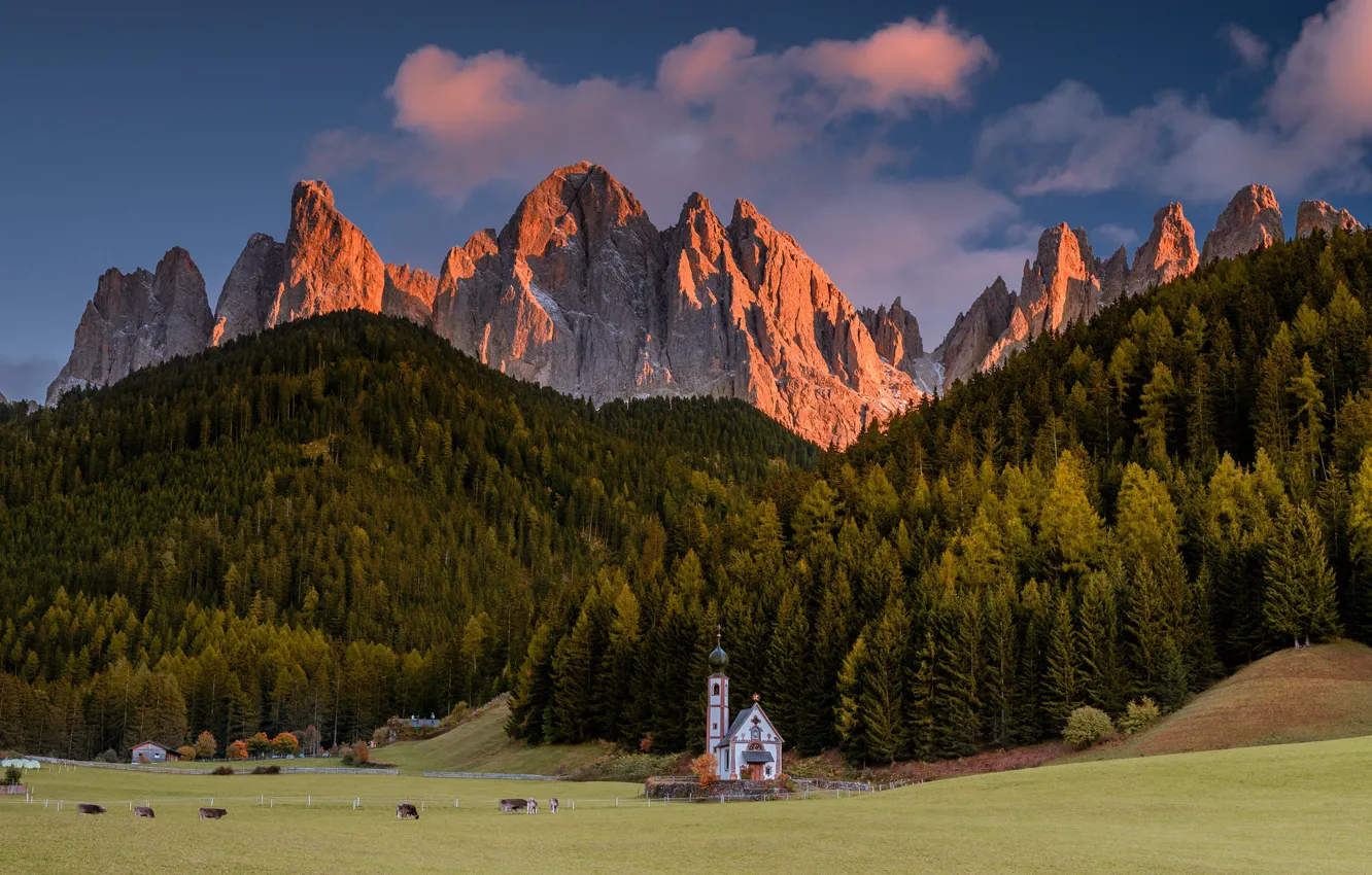Photo wallpaper forest, mountains, tops, Alps, Church
