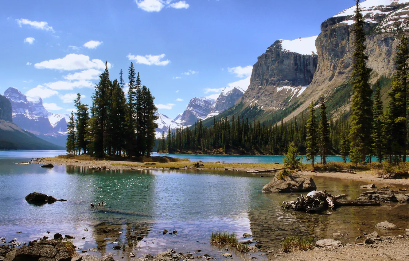 Photo wallpaper forest, landscape, mountains, nature, lake, island, Canada