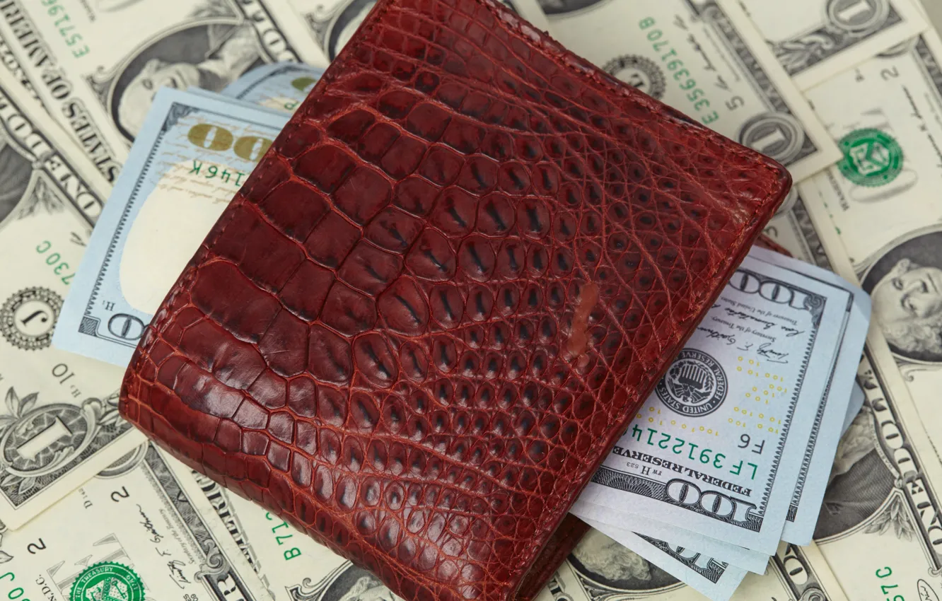 Photo wallpaper money, wallet, crocodile skin