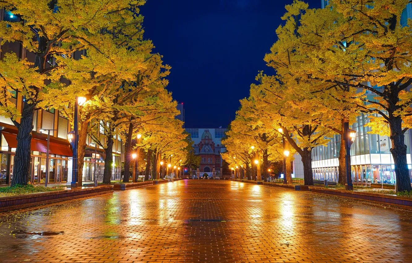 Photo wallpaper lights, wet, night, building, pavements, alleyway