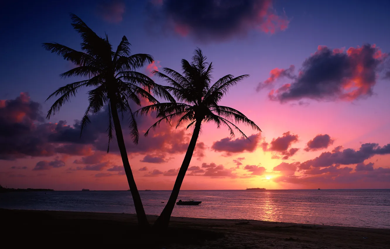 Photo wallpaper sea, beach, clouds, landscape, sunset, palm trees, coast, the evening