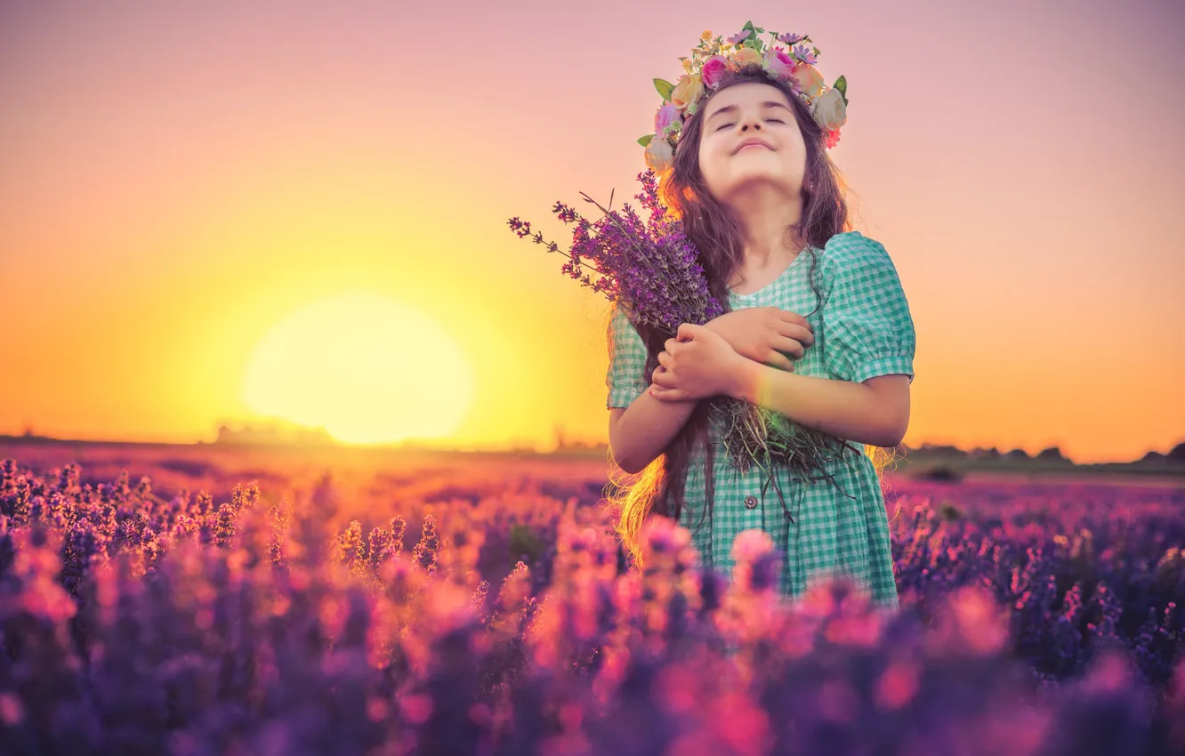 Photo wallpaper field, summer, light, flowers, nature, pose, mood, bouquet