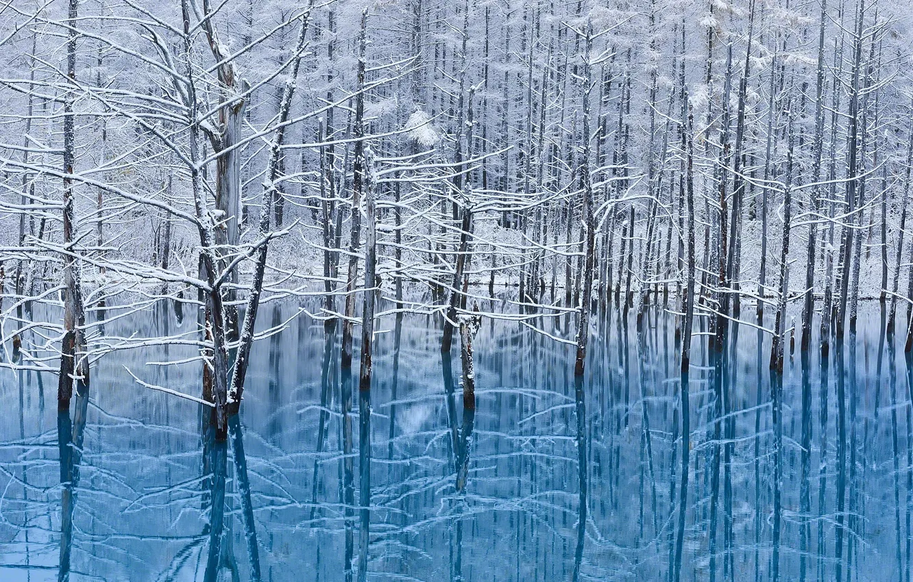 Photo wallpaper winter, water, snow, reflection, trees, island, Japan, Hokkaido