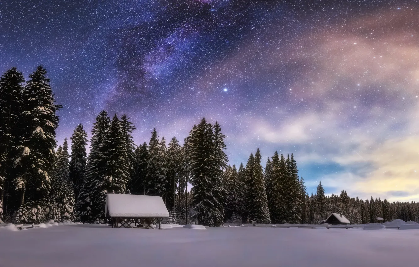 Photo wallpaper winter, forest, the sky, stars, snow, night