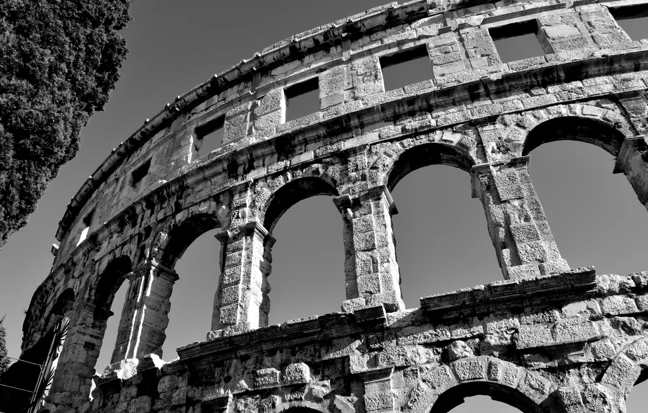 Photo wallpaper Rome, Colosseum, black and white, architecture, Coliseum