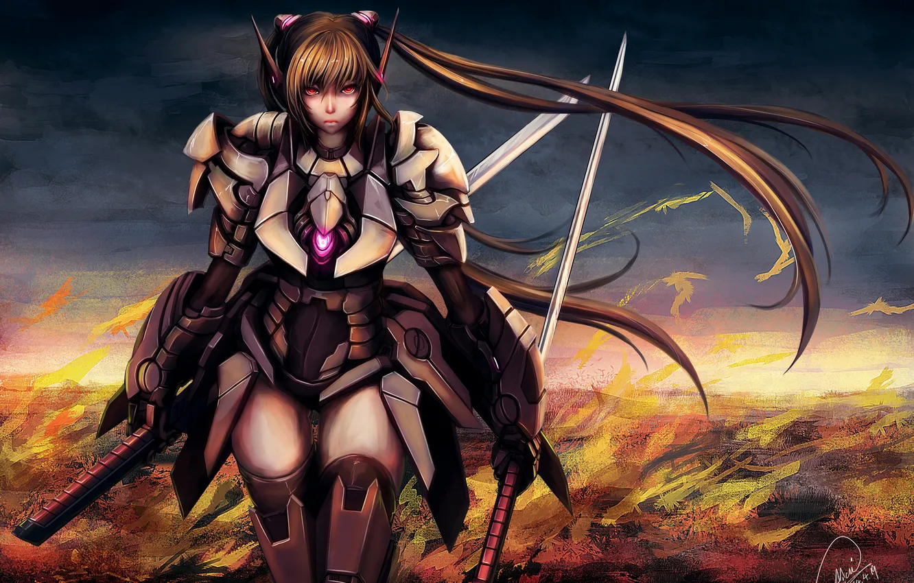 Photo wallpaper girl, metal, sword, art, armor, Shou Mai