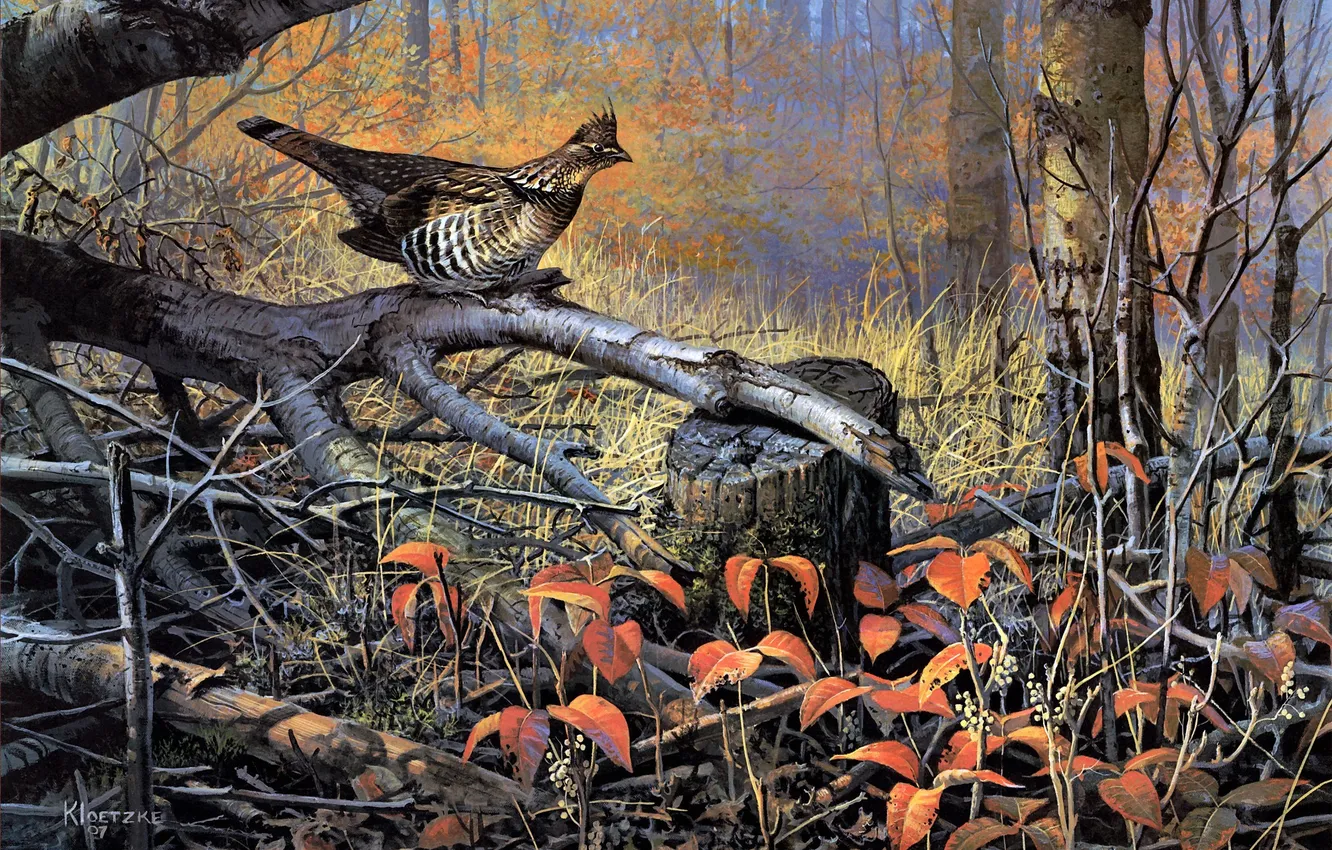 Photo wallpaper autumn, trees, bird, painting, Dry, autumn forest, deadwood, Don Kloetzke