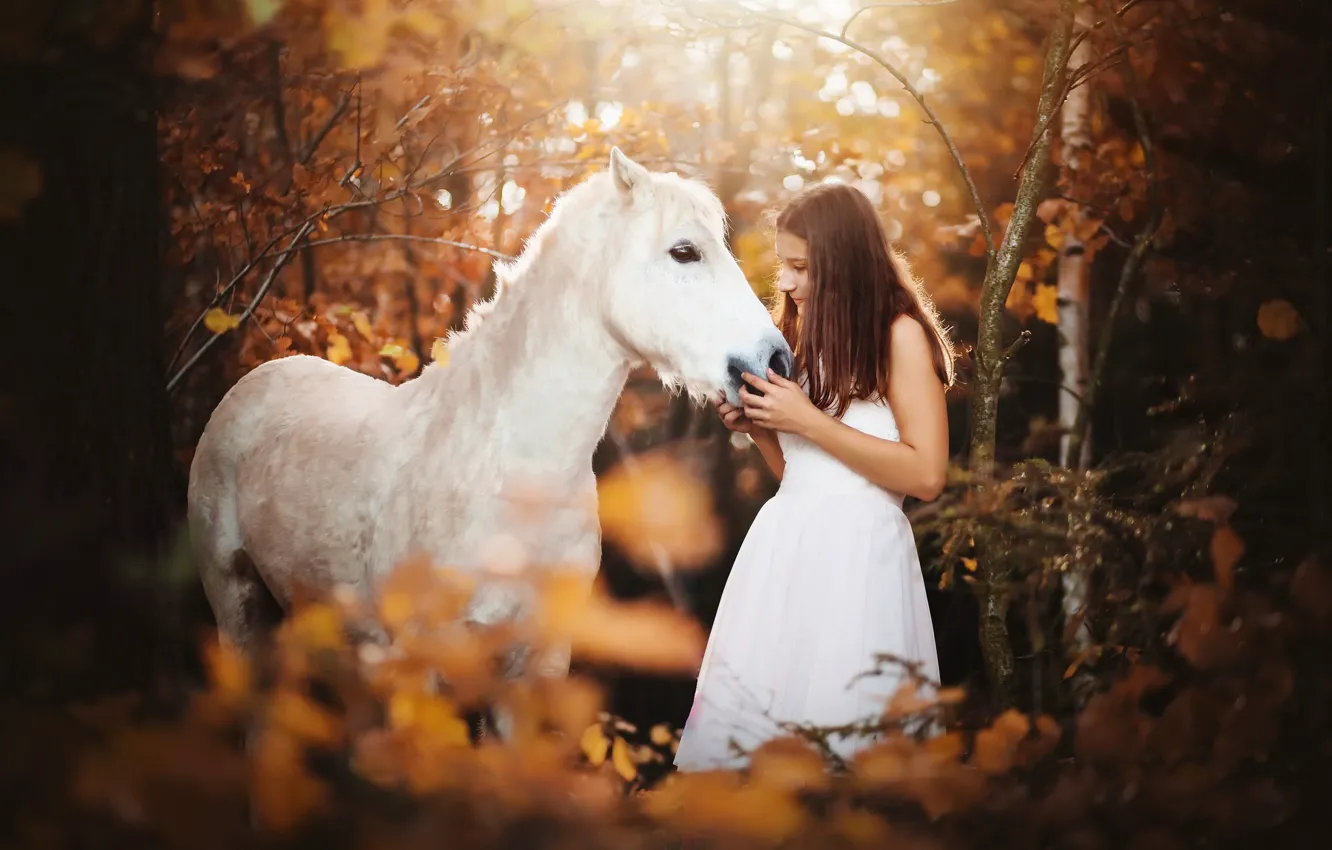 Photo wallpaper forest, girl, horse