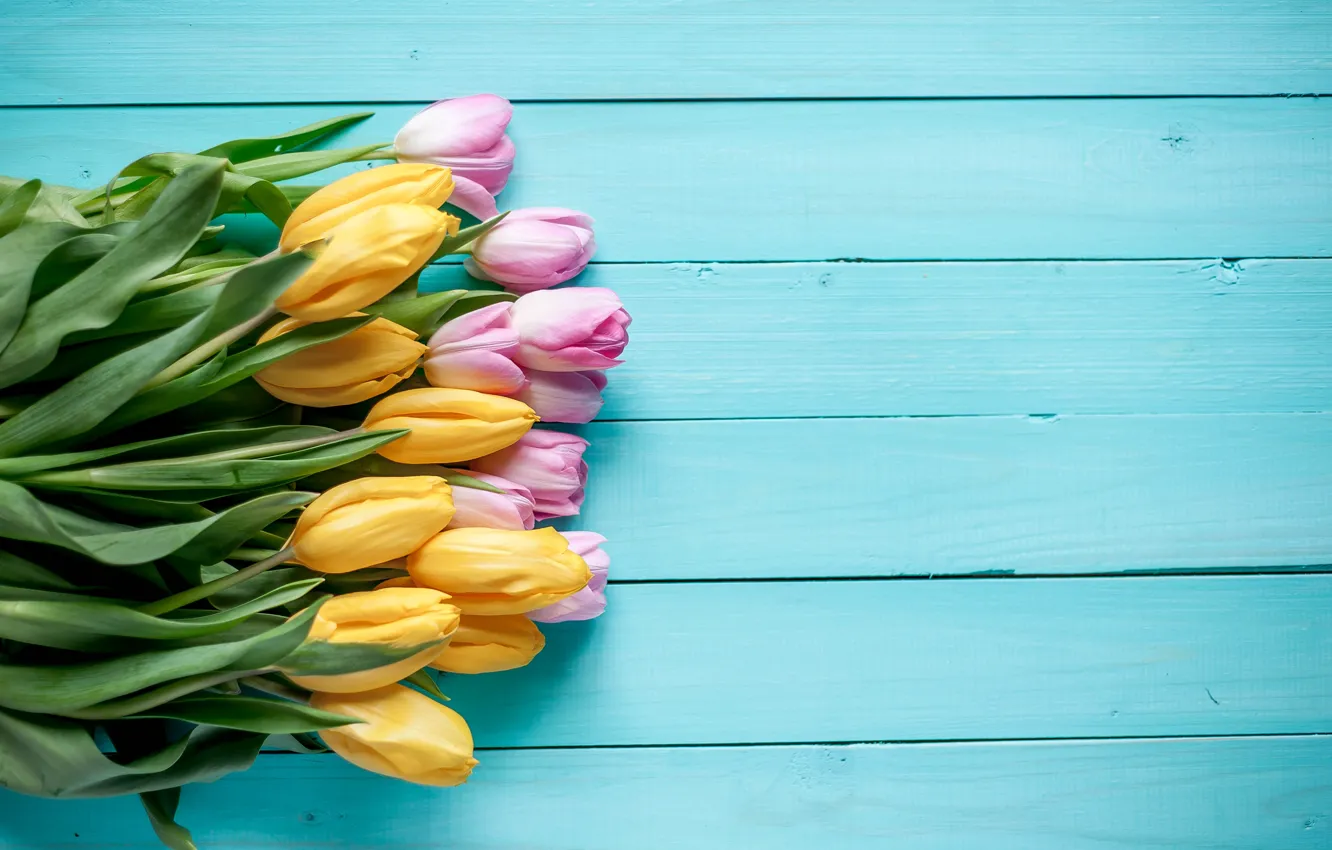 Photo wallpaper background, blue, yellow, tulips, pink