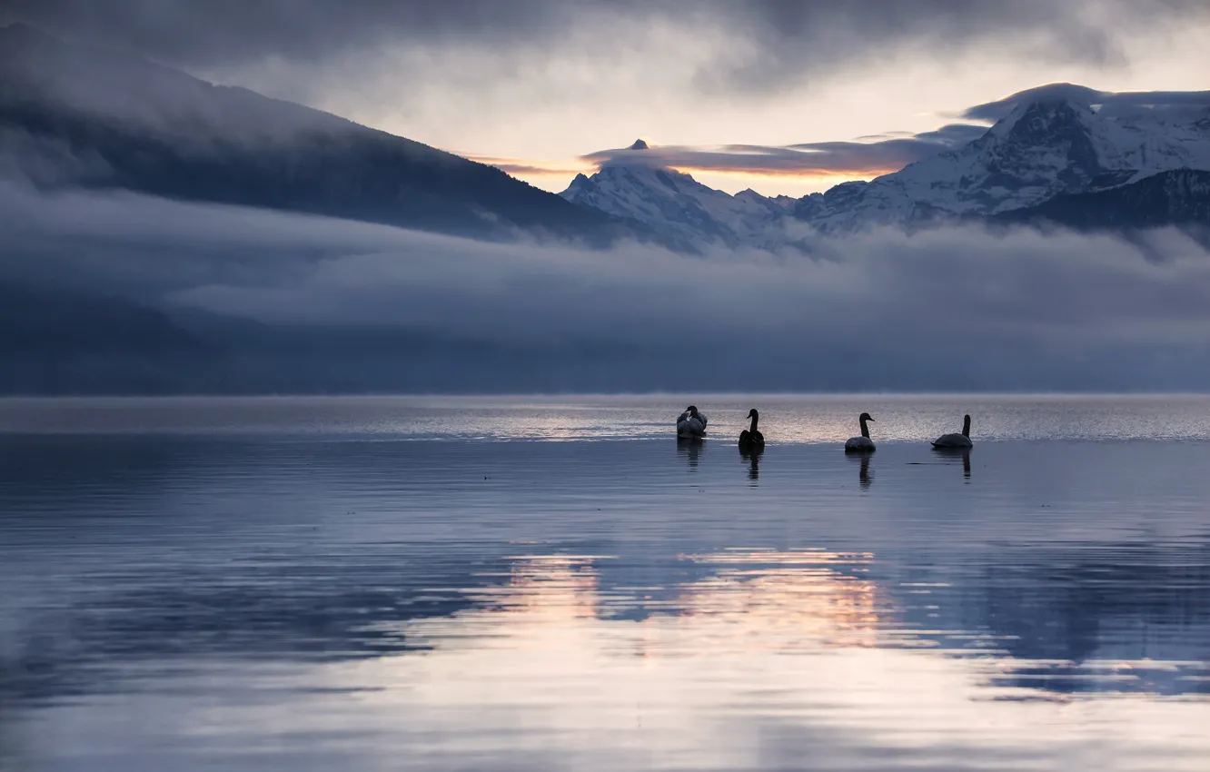Photo wallpaper winter, snow, landscape, mountains, nature, lake, reflection, dawn
