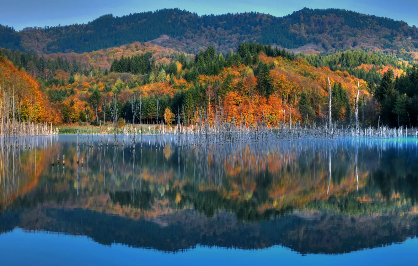 Photo wallpaper autumn, the sky, trees, mountains, lake