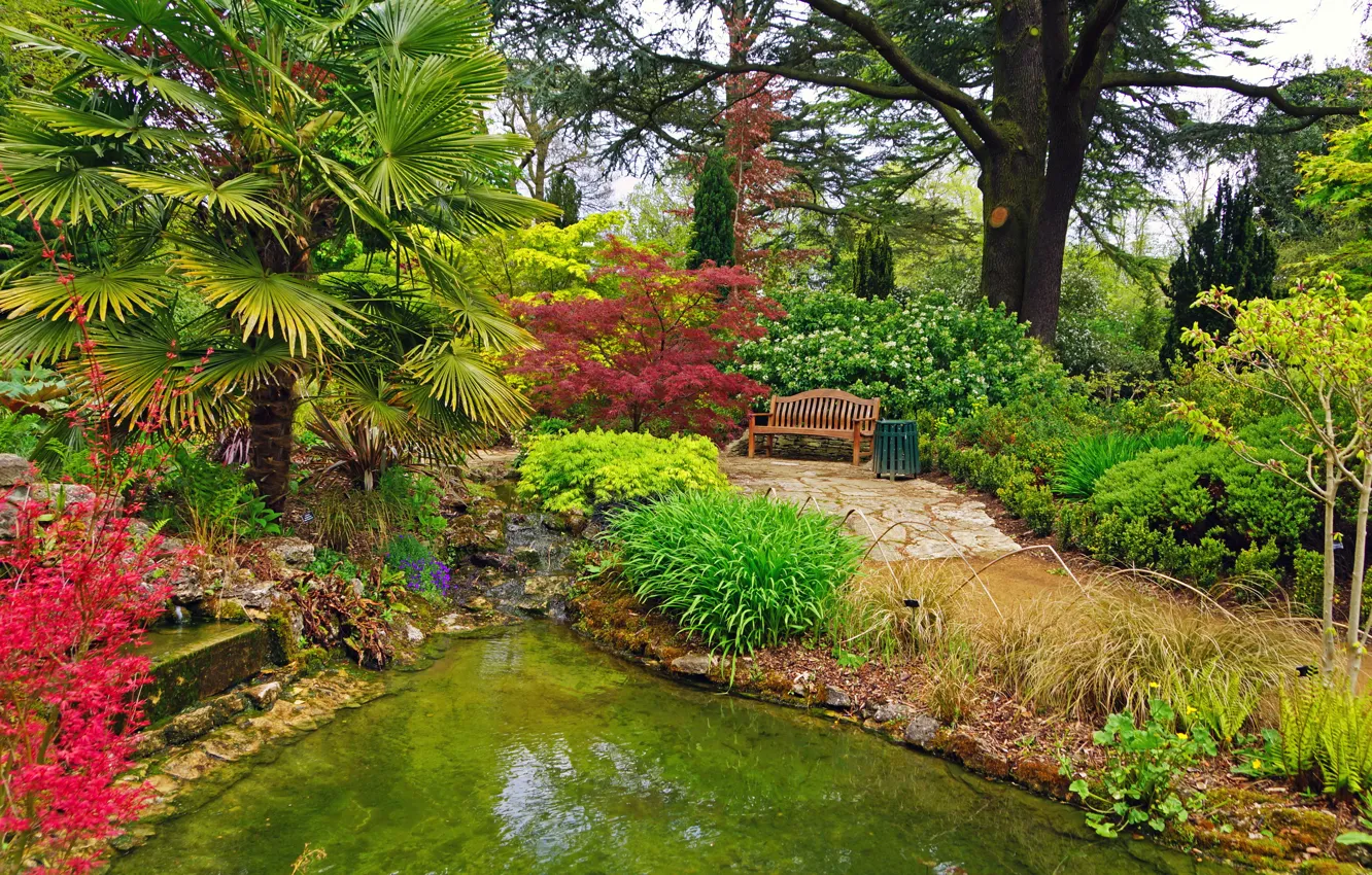 Photo wallpaper bench, nature, pond, palm trees, photo, England, garden, the bushes