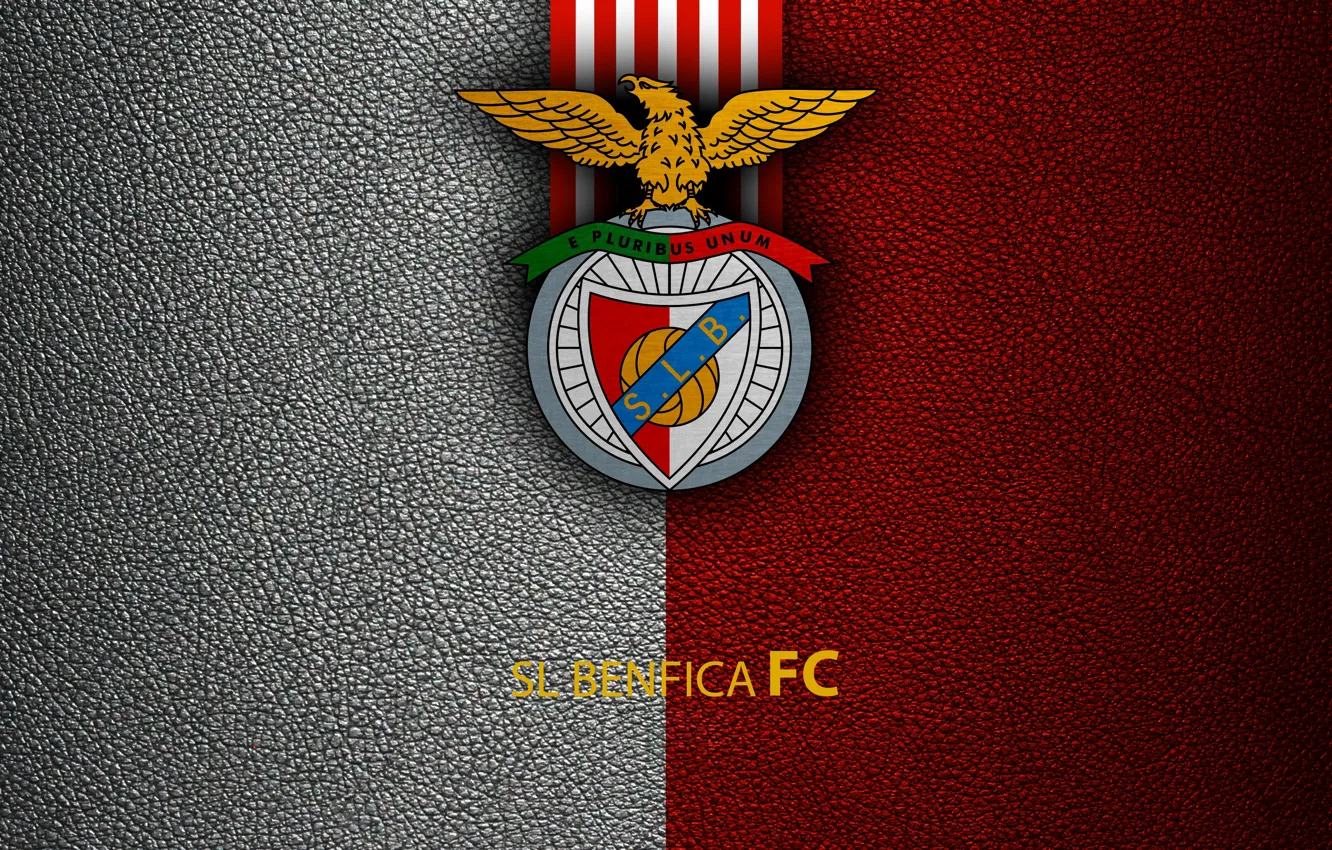 Photo wallpaper wallpaper, logo, football, Sport, SL Benfica, First