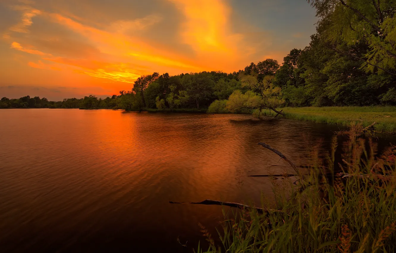 Photo wallpaper forest, the sky, grass, sunset, shore, the evening, pond
