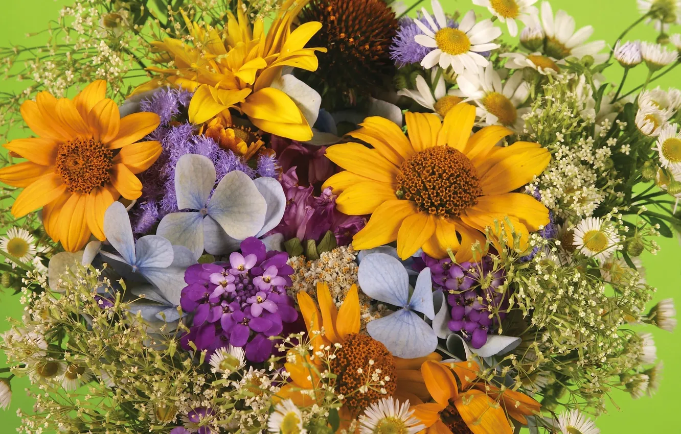 Photo wallpaper flowers, plant, bouquet