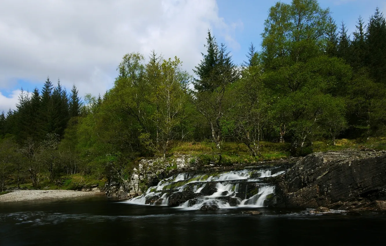 Photo wallpaper forest, trees, river, Scotland, cascade, Scotland, River Orchy