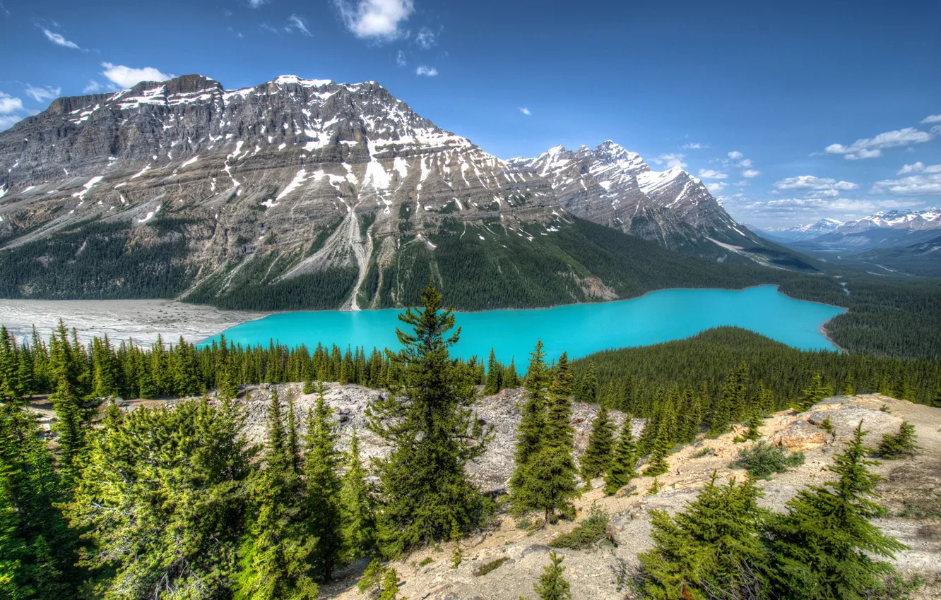 Photo wallpaper forest, the sky, the sun, trees, mountains, lake, stones, rocks