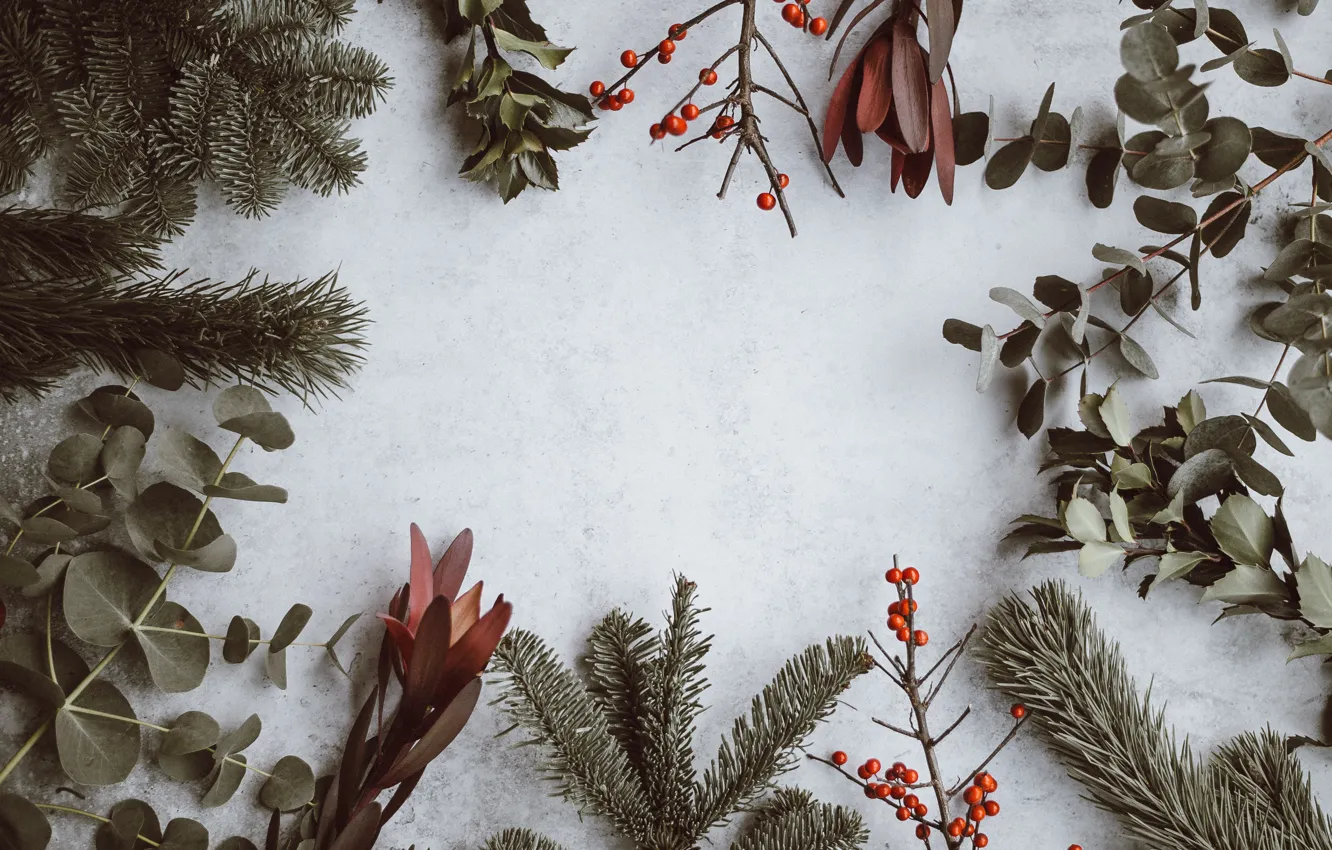 Photo wallpaper Christmas, branches, Annie Spratt
