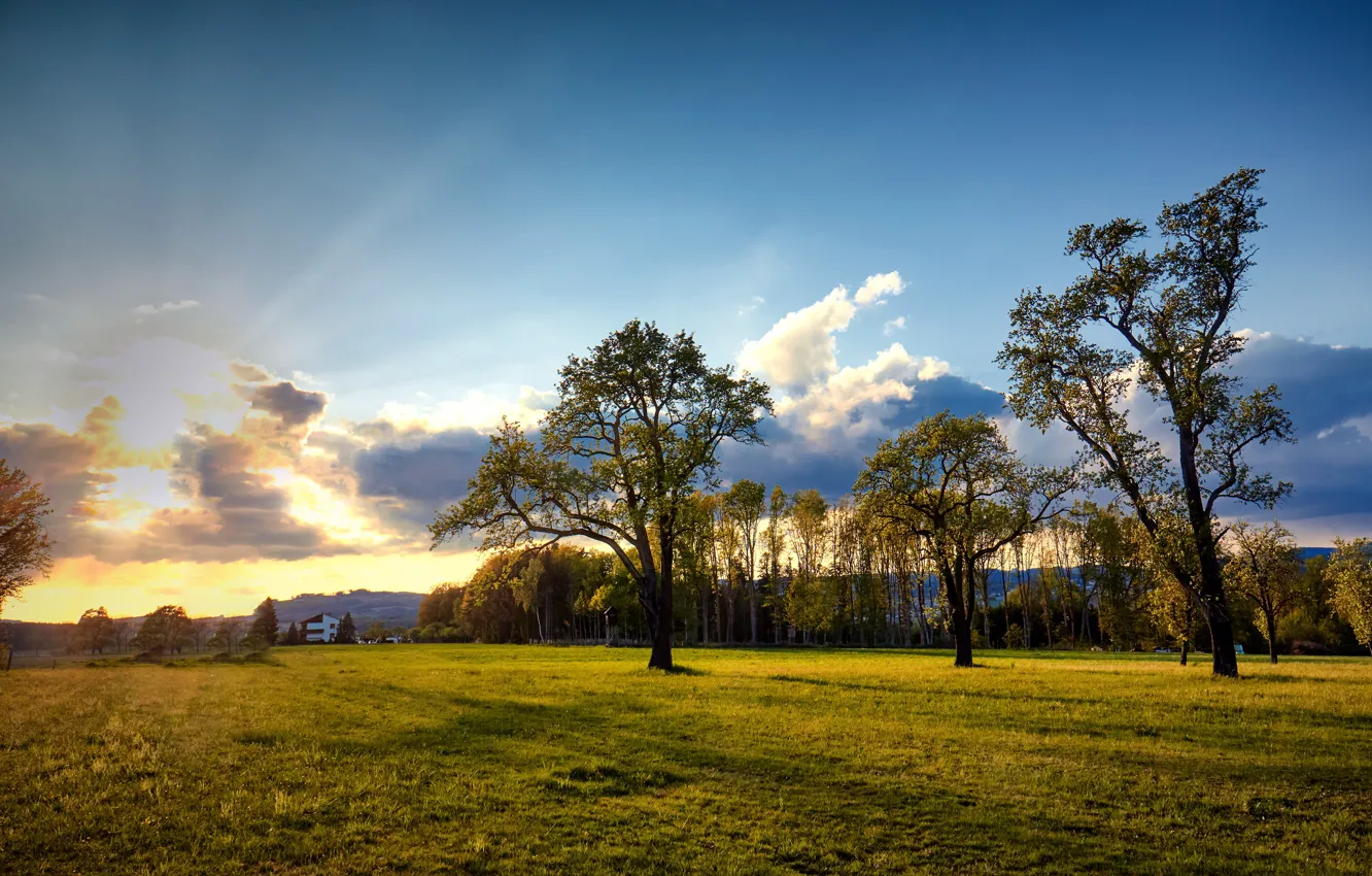Photo wallpaper trees, sunset, Austria, meadow, Austria, The most results, Engerwitzdorf