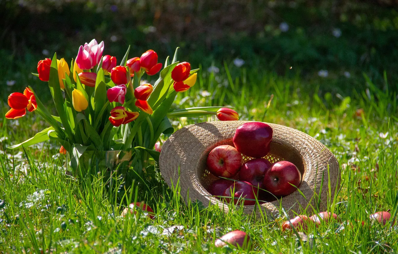 Photo wallpaper flowers, apples, bouquet, hat, tulips, weed
